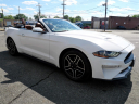 Thumbnail image of 2020 Ford Mustang at DK Auto Imports, Roselle