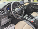 Thumbnail image of 2022 Ford Escape at Crossroads Prince George - Used