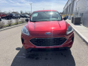 Thumbnail image of 2022 Ford Escape at BeauTownsendFord of Vandalia, OH