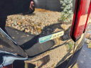 Thumbnail image of 2022 Kia Sorento Plug-In Hybrid at Northtowne Auto Group