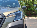 Thumbnail image of 2024 Subaru Forester at Beechmont Subaru