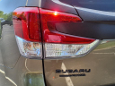 Thumbnail image of 2024 Subaru Forester at Beechmont Subaru