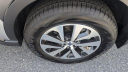 Thumbnail image of 2025 Subaru Outback at Ciocca Subaru