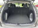 Thumbnail image of 2022 Ford Escape at MtOrabFord NEW