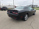 Thumbnail image of 2022 Dodge Challenger at Wetzel Chrysler Jeep Dodge Ram