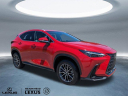 Thumbnail image of 2025 Lexus NX 250 at Hilton Head Lexus