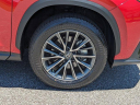 Thumbnail image of 2025 Lexus NX 250 at Hilton Head Lexus