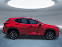 Thumbnail image of 2025 Lexus NX 250 at Hilton Head Lexus