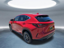 Thumbnail image of 2025 Lexus NX 250 at Hilton Head Lexus