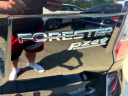 Thumbnail image of 2016 Subaru Forester at Rockland Motors