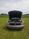 Thumbnail image of 2007 Ford Mustang at Trading Waynes