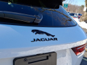 Thumbnail image of 2025 Jaguar F-PACE at Piazza Jaguar Land Rover Willow Grove