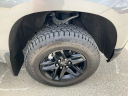 Thumbnail image of 2021 Chevrolet Silverado 1500 at Laurel Valley Motors