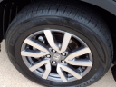 Thumbnail image of 2022 Honda Pilot at Serra Buick Gmc Champaign