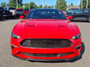 Thumbnail image of 2019 Ford Mustang at PorterFordMitsubishiVinsolutions NEW