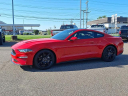 Thumbnail image of 2019 Ford Mustang at PorterFordMitsubishiVinsolutions NEW
