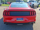Thumbnail image of 2019 Ford Mustang at PorterFordMitsubishiVinsolutions NEW