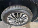 Thumbnail image of 2021 INFINITI QX80 at Lia Infiniti