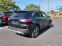 Thumbnail image of 2022 Ford Escape at USED - Haley Toyota Certified Service Center