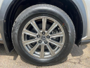 Thumbnail image of 2019 Lexus NX 300 at Golling Chrysler Jeep Dodge Ram of Chelsea