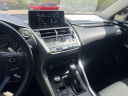 Thumbnail image of 2019 Lexus NX 300 at Golling Chrysler Dodge Jeep Ram