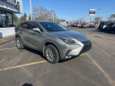 Thumbnail image of 2019 Lexus NX 300 at Golling Chrysler Dodge Jeep Ram