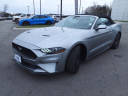 Thumbnail image of 2022 Ford Mustang at Bates Ford