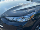 Thumbnail image of 2025 Ford Escape at Levittown Ford
