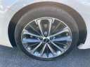 Thumbnail image of 2017 Kia Cadenza at KarPlaza of Tampa, FL