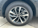 Thumbnail image of 2022 Audi Q5 at Cape Coral Chrysler Dodge Jeep Ram