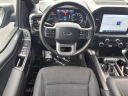 Thumbnail image of 2023 Ford F-150 at Suntrup Ford Kirkwood
