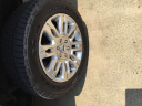 Thumbnail image of 2010 Ford F-150 at Wise Auto Sales Inc.