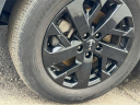 Thumbnail image of 2023 Kia Sorento at Spitzer Kia