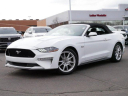 Thumbnail image of 2021 Ford Mustang at LutherWestsideVolkswagen New