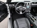 Thumbnail image of 2021 Ford Mustang at LutherWestsideVolkswagen New