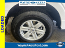 Thumbnail image of 2023 Ford F-150 at Wayne Akers Ford