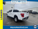 Thumbnail image of 2023 Ford F-150 at Wayne Akers Ford