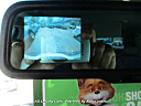 Thumbnail image of 2009 Honda Pilot at AAA Luxury Cars