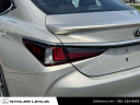 Thumbnail image of 2022 Lexus ES 350 at Stoler Lexus