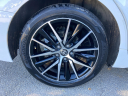 Thumbnail image of 2021 Toyota Camry at Cavender Toyota
