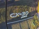 Thumbnail image of 2022 Mazda CX-30 at Southern 441 Nissan