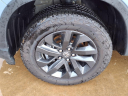 Thumbnail image of 2025 Honda Ridgeline at Honda Of Muskogee
