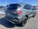 2022 Ford Escape SE at Fernelius Ford