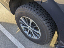 Thumbnail image of 2021 Ford Expedition at CrossroadsFord of Apex - NEW