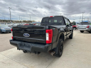 Thumbnail image of 2017 Ford F-250 Super Duty at Showcase Auto Sales LLC