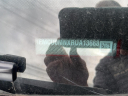 Thumbnail image of 2024 Ford Escape at Batesville Chrysler Dodge Jeep Inc