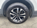 Thumbnail image of 2024 Volkswagen Tiguan at PaulMillerBernardsvilleVolkswagen USED