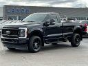2023 Ford F-350 Super Duty XL at Lasco Ford