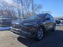 2025 Ford Escape Hybrid ST-Line Select at Lasco Ford