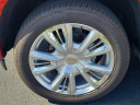 Thumbnail image of 2024 Chevrolet Silverado 1500 at VictoryLayneChevrolet of Ft. Myers, FL